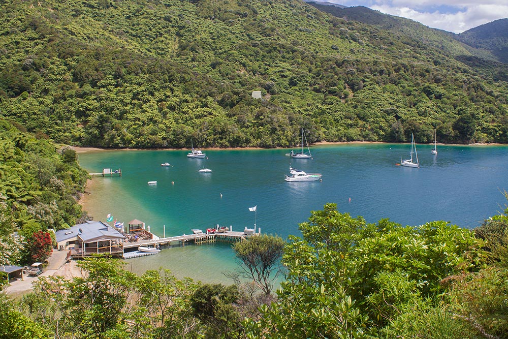 queen charlotte track marlborough sounds
