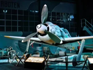 6695afa7a305a24ec076ad61 omaka p 500