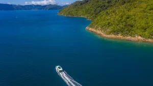 66986f9c036d1d6874280fd6 mail boat (5 of 21) p 500